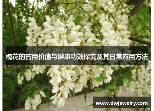 槐花的药用价值与健康功效探究及其日常应用方法